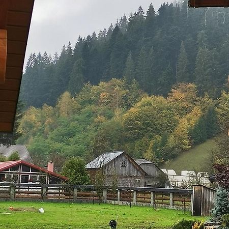 Casa De Poveste Сучевица Екстериор снимка